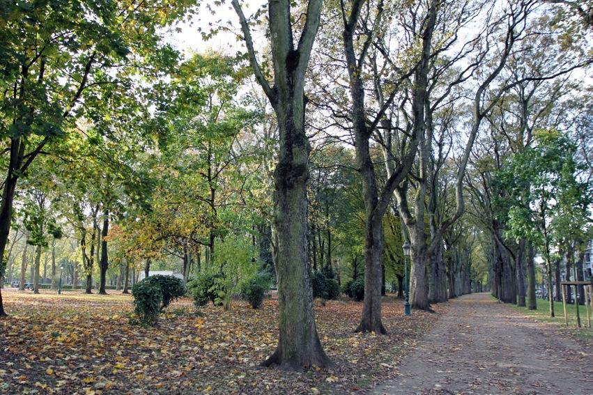 Appartement Parc Brussel